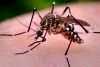 SALUD PRESENTA M&Eacute;TODOS ANTICONCEPTIVOS FRENTE AL RIESGO DEL ZIKA