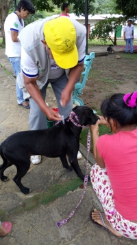 VACUNACI&Oacute;N CANINA EN LA ZONA RURAL DE LAMAS