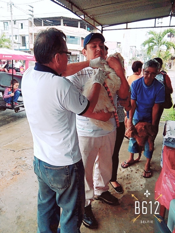 &iexcl;VACUNACI&Oacute;N CONTRA LA RABIA CANINA!