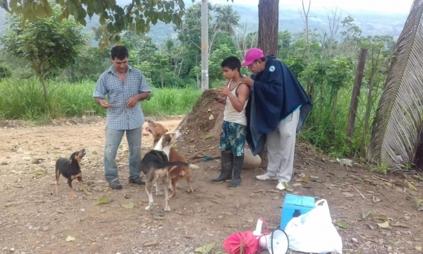 M&Aacute;S OPORTUNIDAD. SALUD VUELVE A VACUNAR CONTRA LA RABIA CANINA.