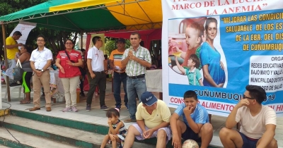 INICIO AUSPICIOSO DE LA LUCHA CONTRA LA ANEMIA y DESNUTRICI&Oacute;N CR&Oacute;NICA INFANTIL EN LA PROVINCIA DE LAMAS.