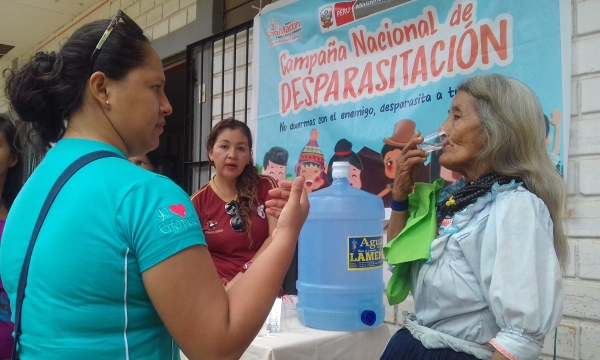 CAMPA&Ntilde;A DE ATENCI&Oacute;N DE DESPARASITACI&Oacute;N EN LAMAS.
