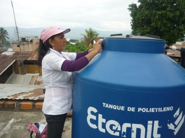 &iexcl;ABATIZACI&Oacute;N EN LAMAS!